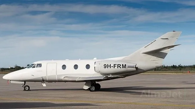Falcon 100