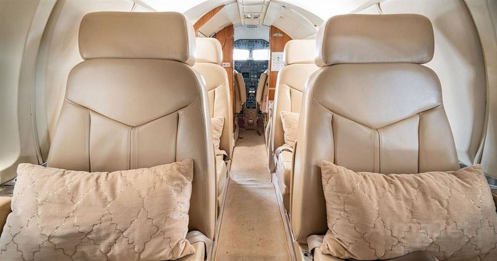 Falcon 100