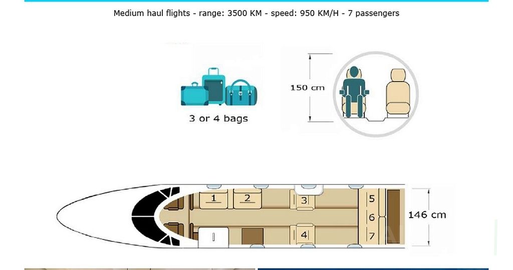 Falcon 100
