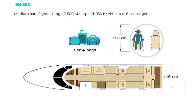 Falcon 100