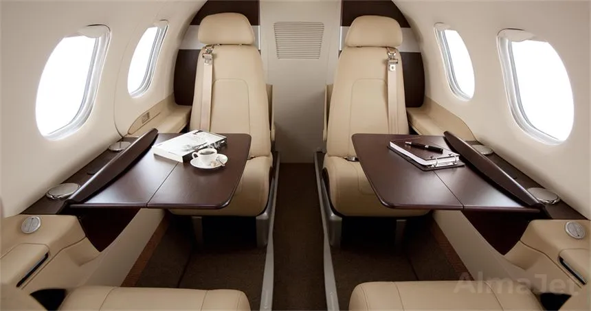 Phenom 100