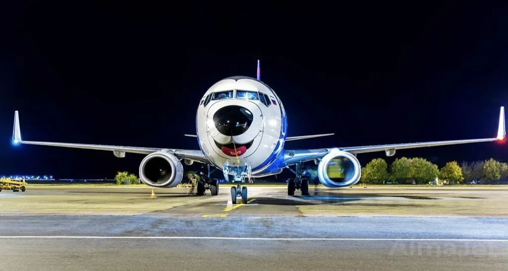 Boeing 737-800
