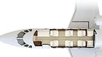 Citation XLS
