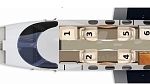 Phenom 100