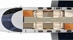 Phenom 100